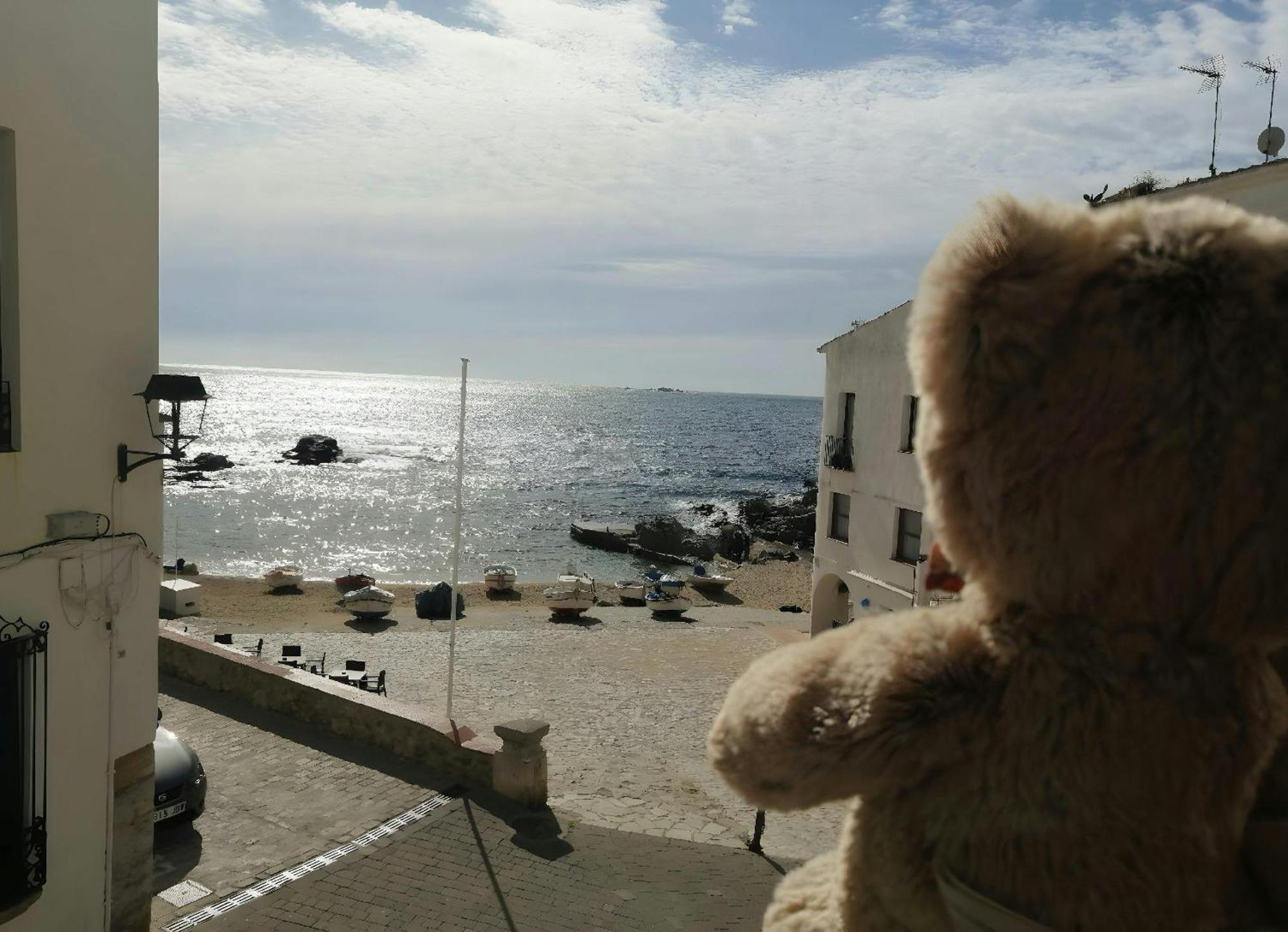 Calella Port Bo - Sea Sand Sun Calella De Palafrugell Dış mekan fotoğraf